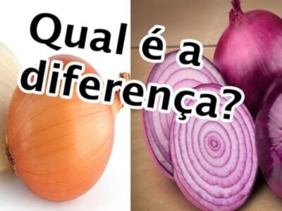 Diferenças entre as cebolas branca e roxa