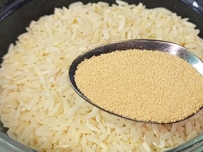 O que acontece se misturar fermento com arroz, o resultado é delicioso e você vai querer fazer sempre
